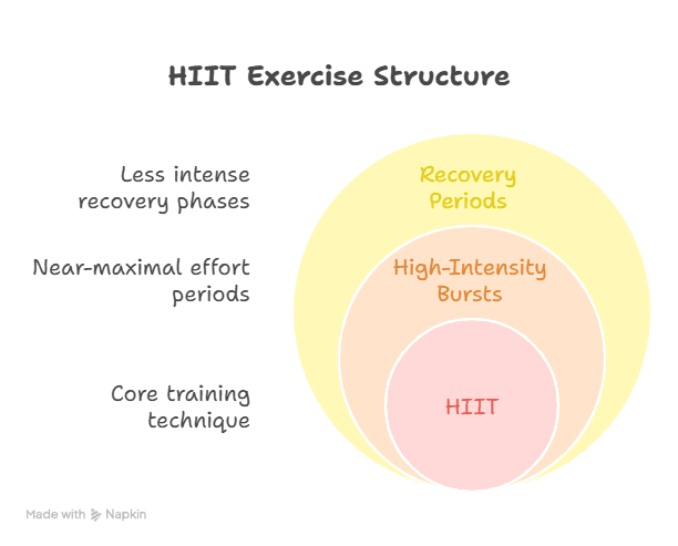 Infographic About Understanding HIIT Exercising for Weight Loss